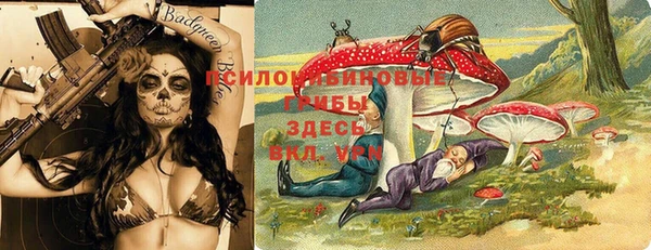 сатива Нягань