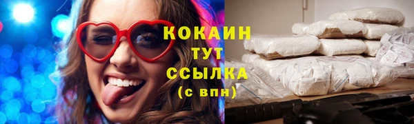 сатива Нягань