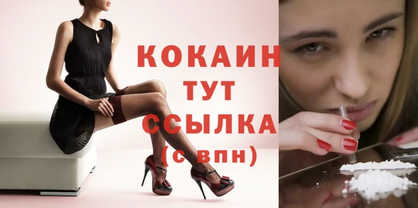 дурь Болотное