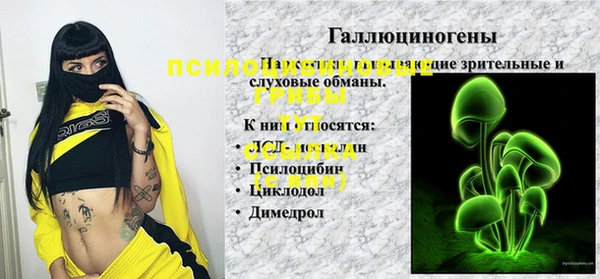 синтетический гашиш Няндома