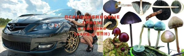 сатива Нягань