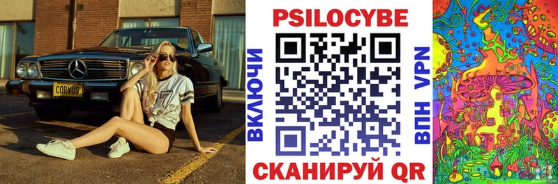 Псилоцибиновые грибы Cubensis  Тимашёвск 